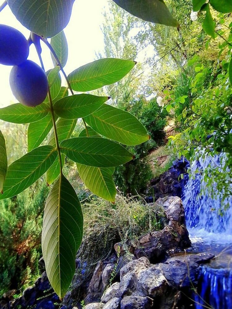 Фото Гостиничный комплекс Park Avenue