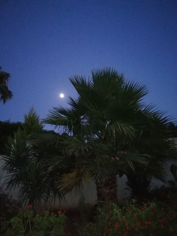 Фото Cyan Icons Villas