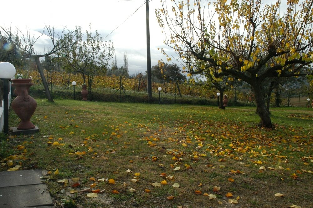 Фото B&b Falco Bianco