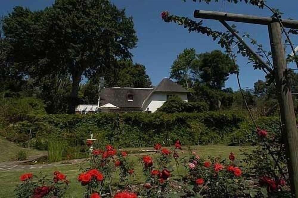 Фото Constantia Woods