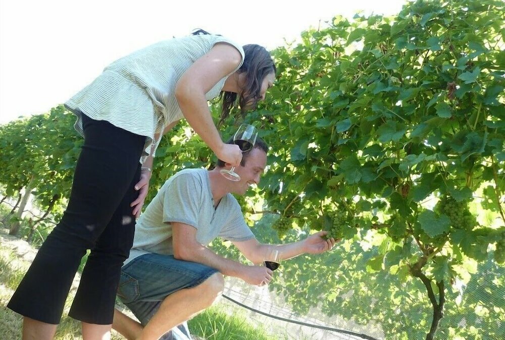 Фото Limetree Hideaway