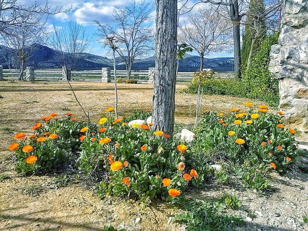 Фото Alojamiento rural El Cortijuelo