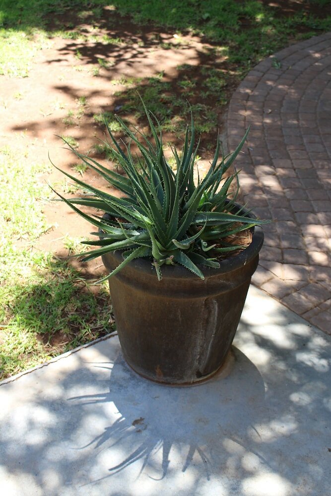 Фото Travalia Guest Farm