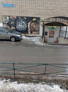 Drink Beer (ulitsa 50 let VLKSM, 19), bar, pub