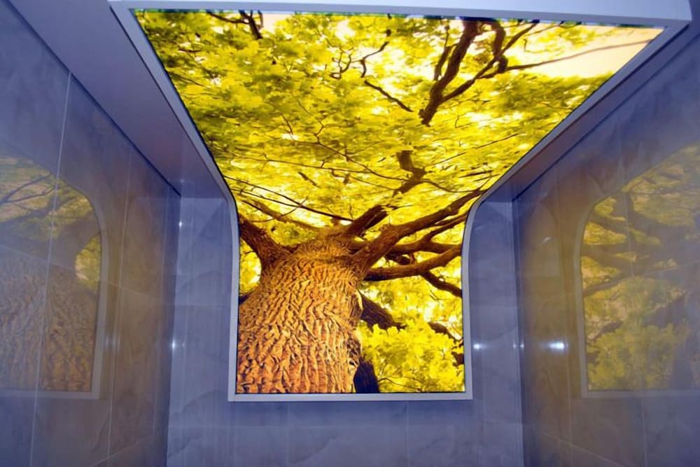 Фото Faustina Hotel & SPA