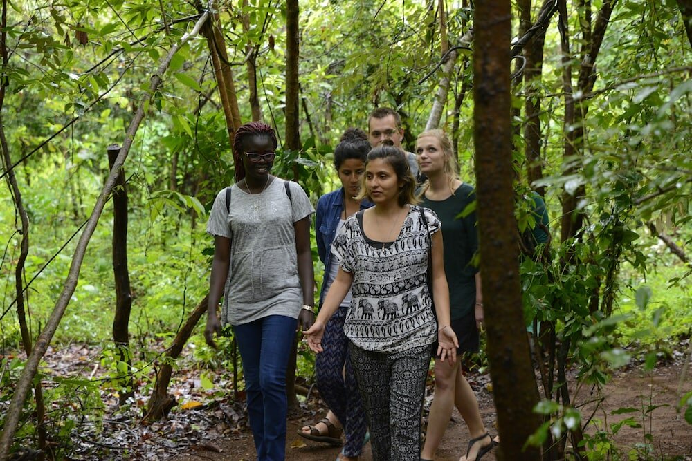 Фото Mahagedara Wellness Retreat