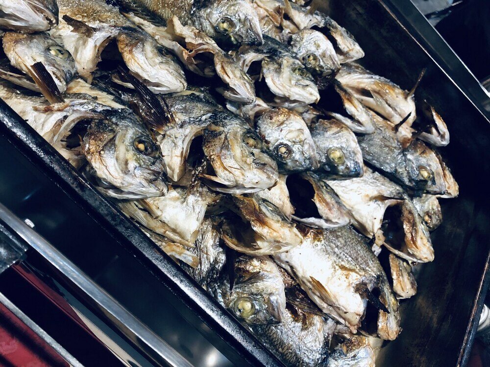 Фото Hotel Kompleksi Arifi