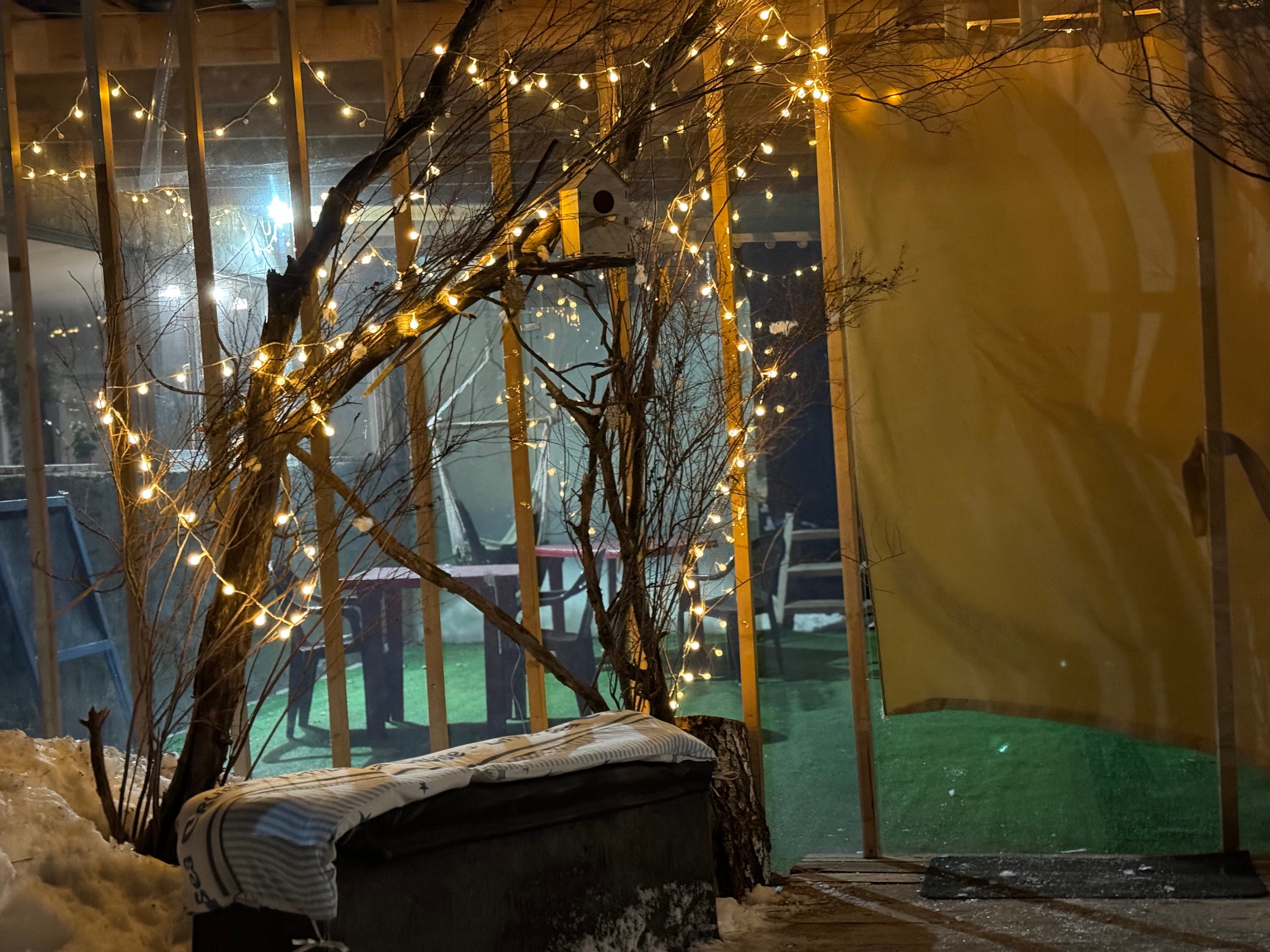 Фото Дом в лесу