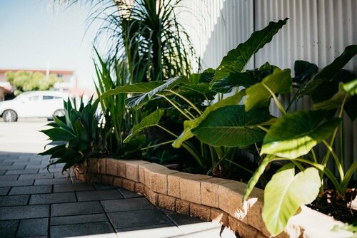 Гостиница Motel Poinsettia в Порт-Огасте
