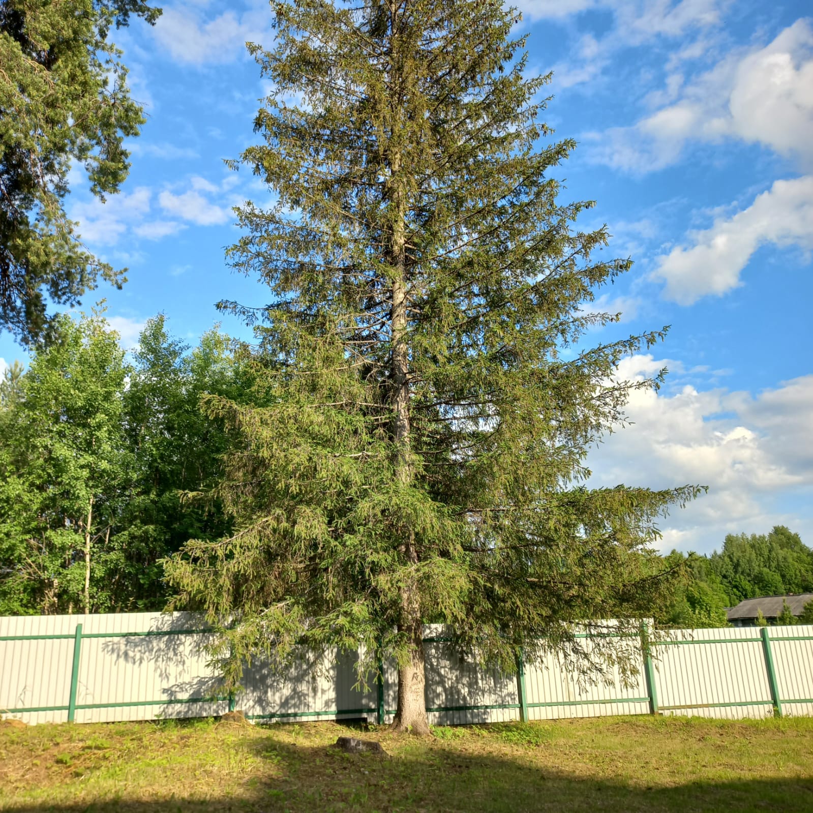 Фото Эко отель Унжа