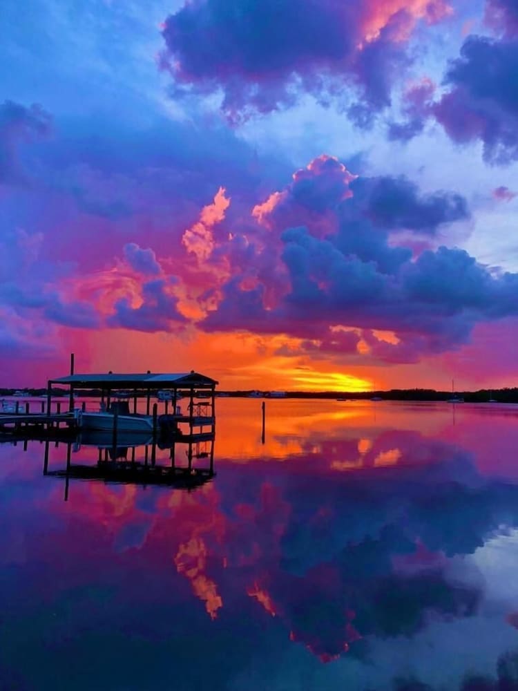 Фото Coconut Palm Inn