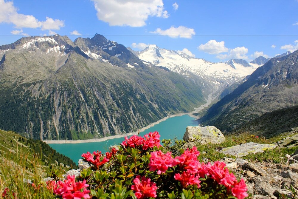 Фото Apartments Rosenhof