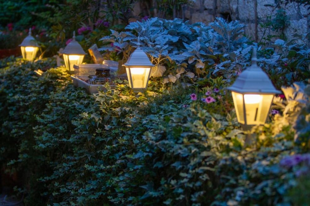 Фото Heritage Hotel Life Palace