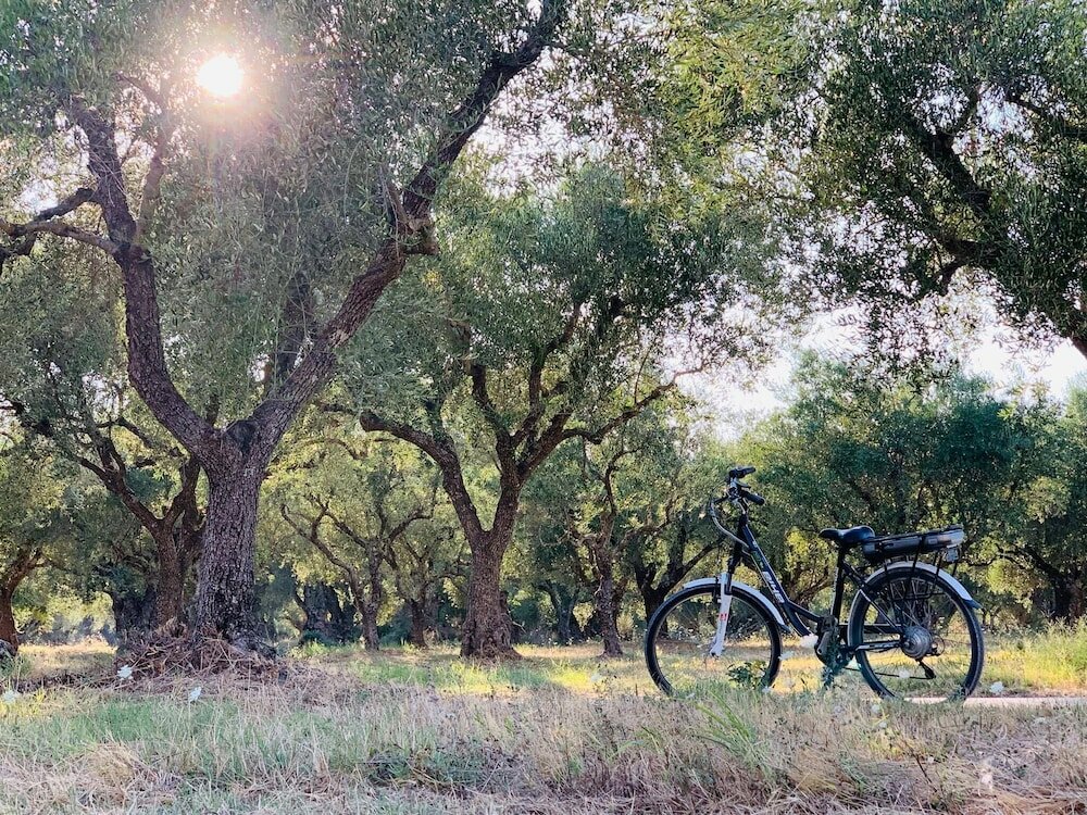 Фото Castelli Hotel Adults Only - All Inclusive