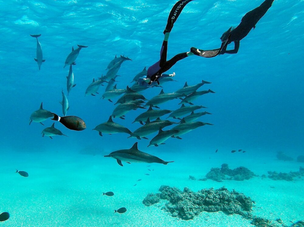 Фото Marsa Shagra Village