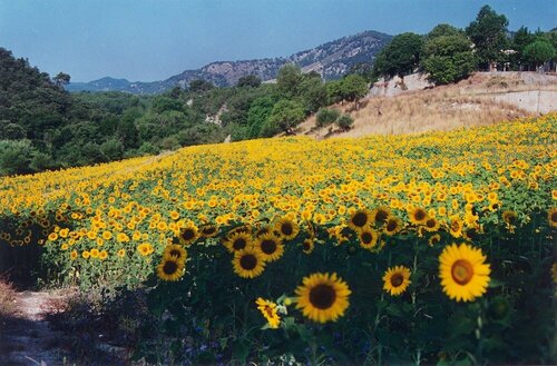 Внешний вид отеля Hotel Monnàber Vell в Кампанете, фото 3