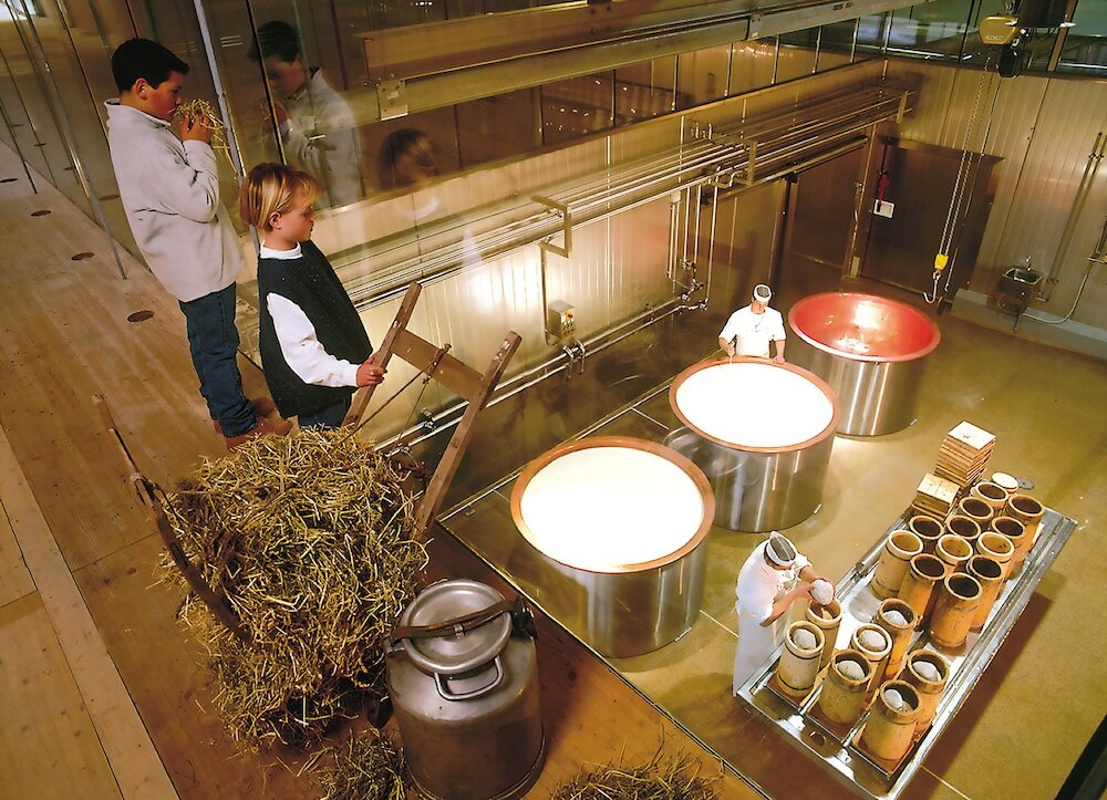 Фото Hotel Pinzger