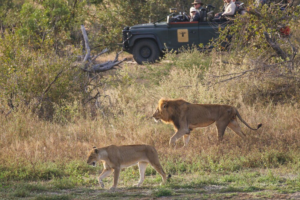 Фото Baobab Ridge Private Lodge