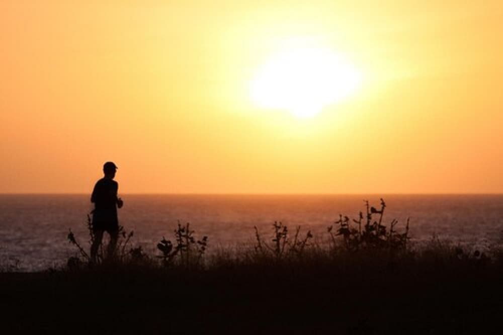 Фото Praiano Aparthotel