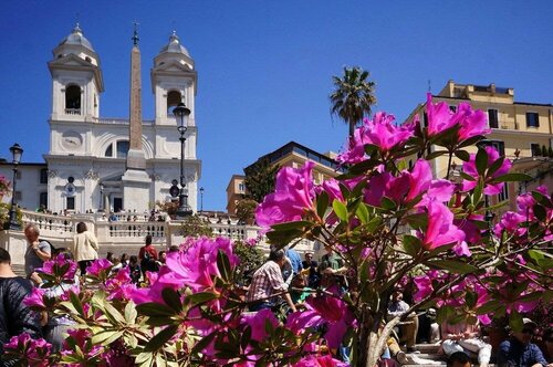 Гостиница My Suites Piazza di Spagna в Риме