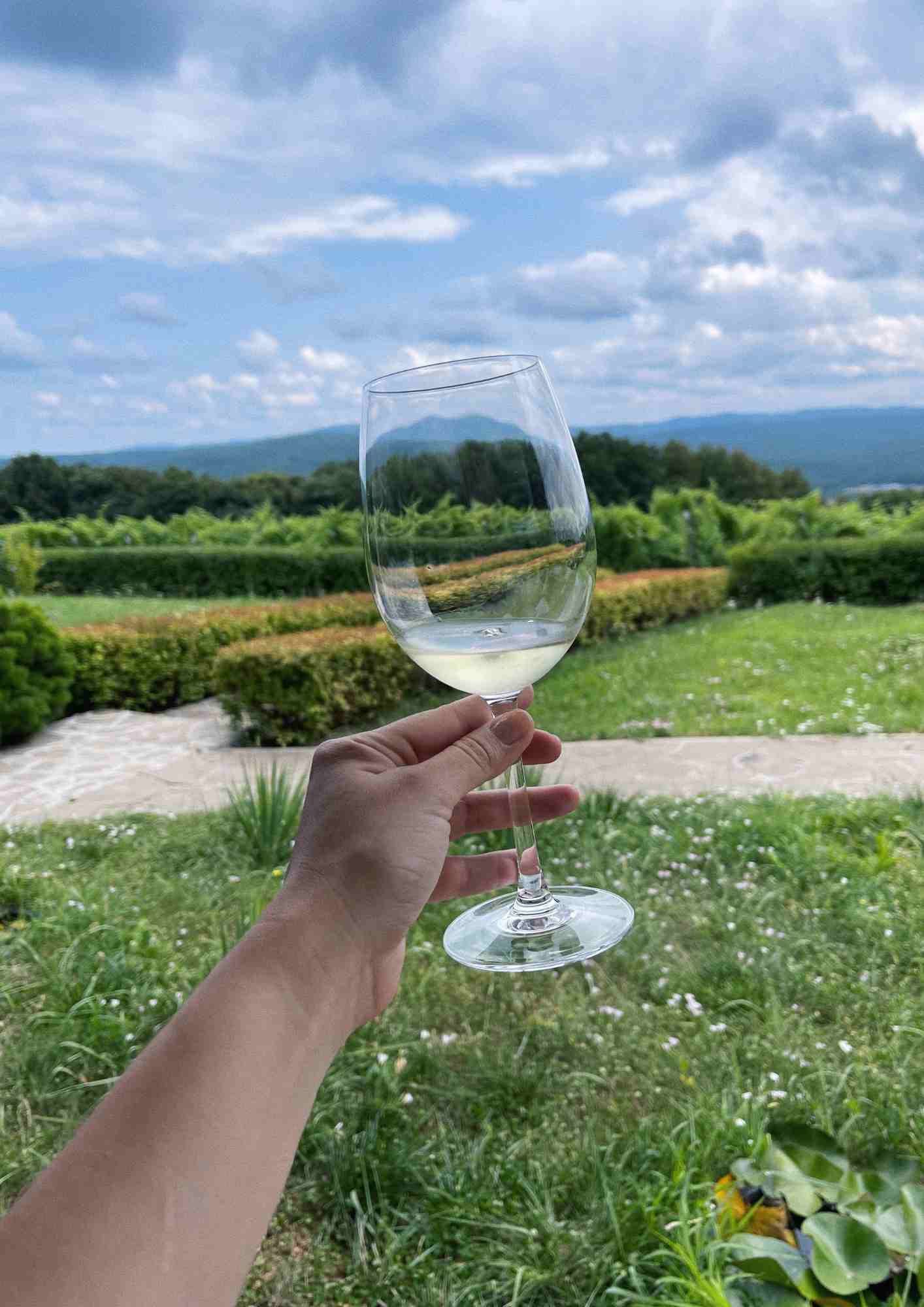 Фото Собер Дача