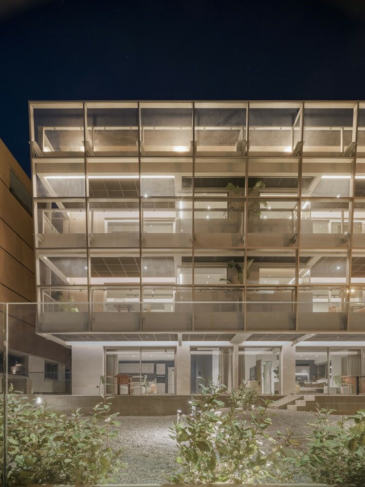 Фото 3 Olive Trees