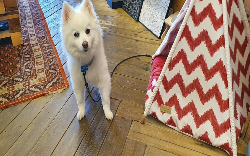 Фото Yangyang Joa Surf Surfing House