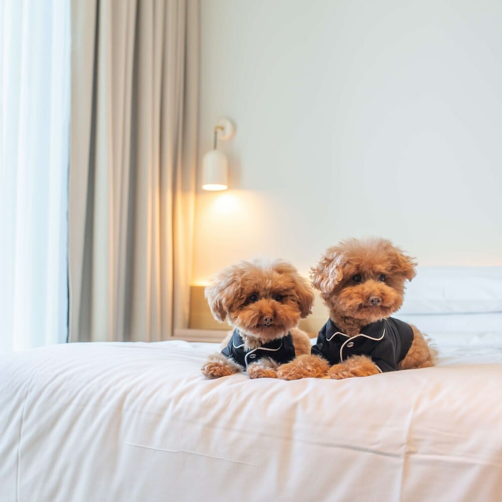 Фото Hyatt Centric Melbourne