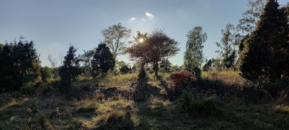 Фото Arbottna Herrgård