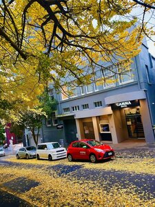 Гостиница Gamma Hotel