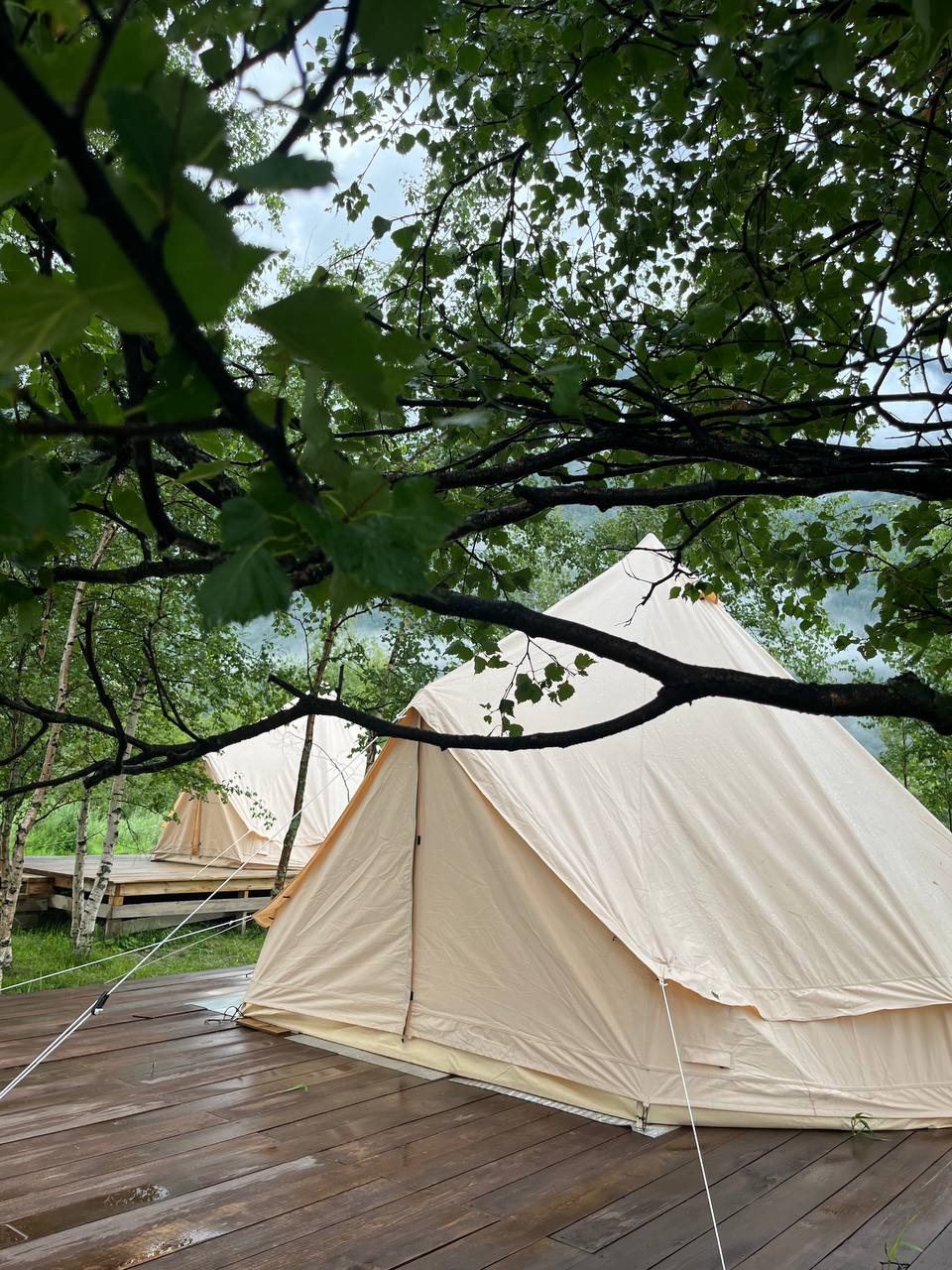 Фото Выше гор