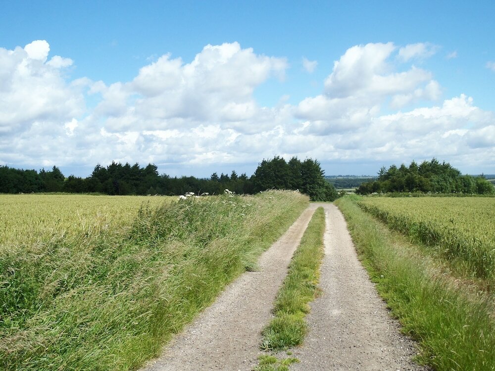 Фото Manor Farm B & B