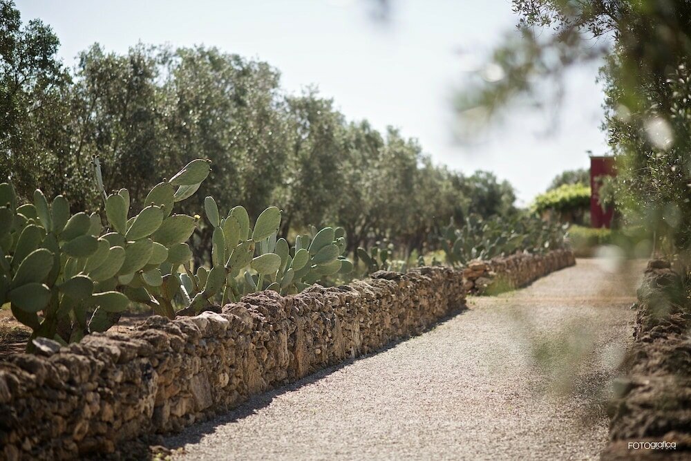 Фото Tenuta Monacelli Lecce