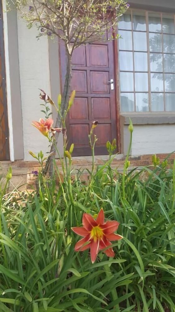 Фото African Silhouette Guesthouse