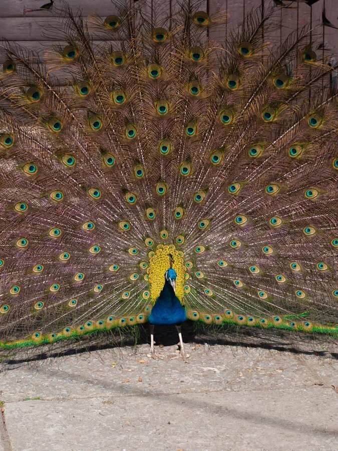 Фото Таежный берег