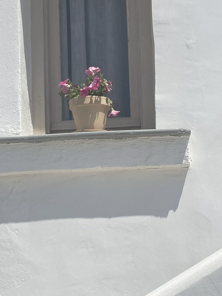 Фото Coralli Beach Hotel