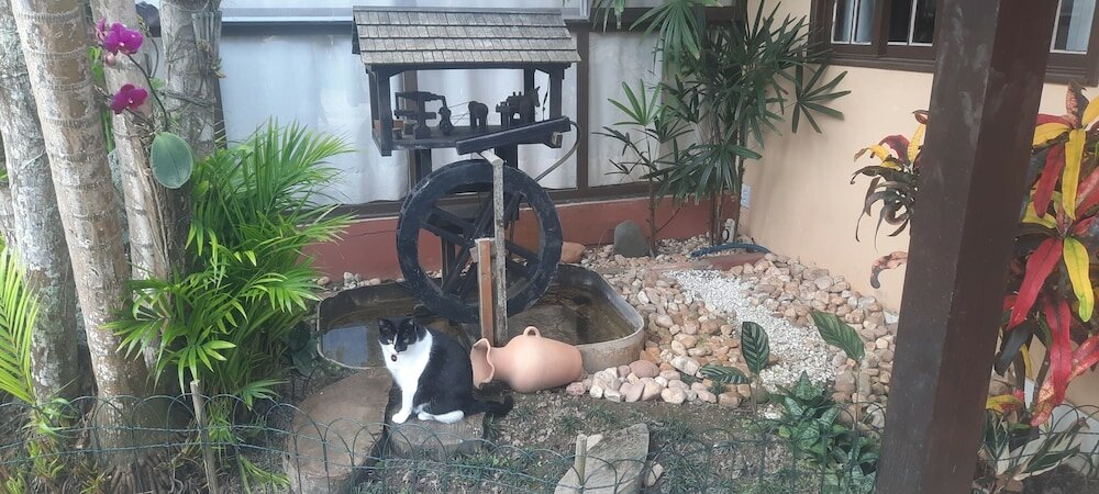 Фото Pousada do Atobá