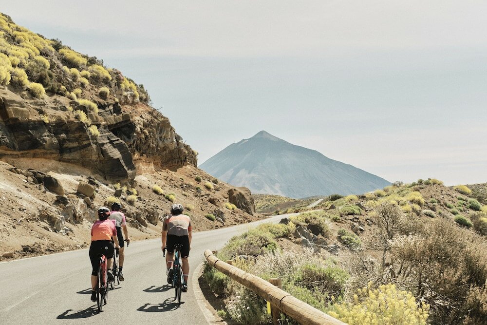 Фото Отель Playa Sur Tenerife