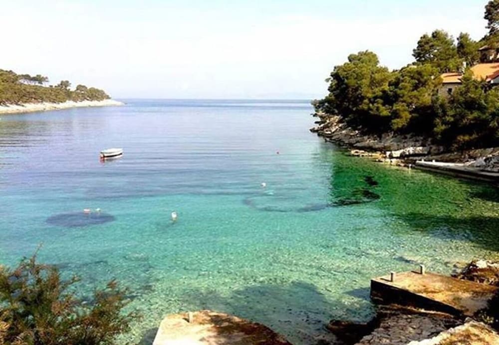 Фото Igor - Near Center - Sa1-teuta