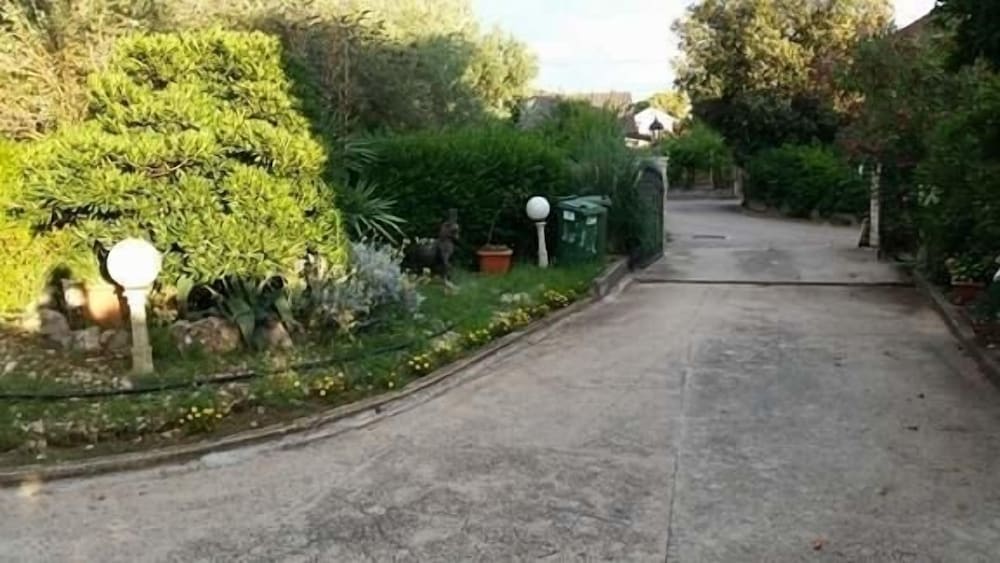 Фото Pool - Swimming Pool and Grill - A3