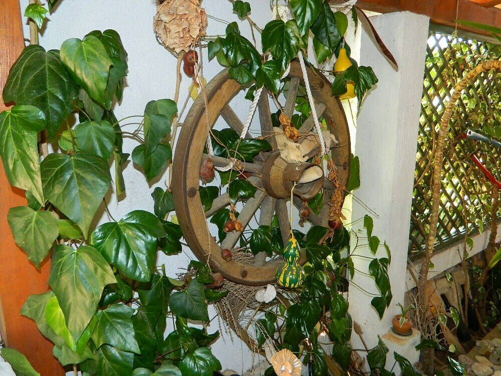 Фото Apartment and Room Darinka