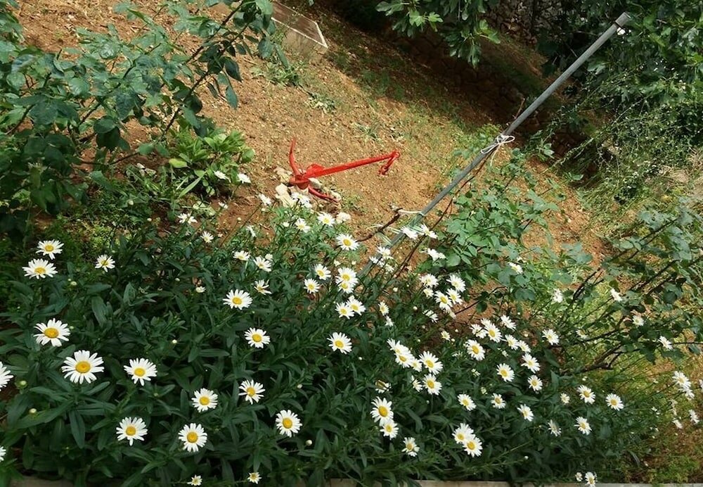 Фото Ruzica - 50 m From sea - A2 Veliki