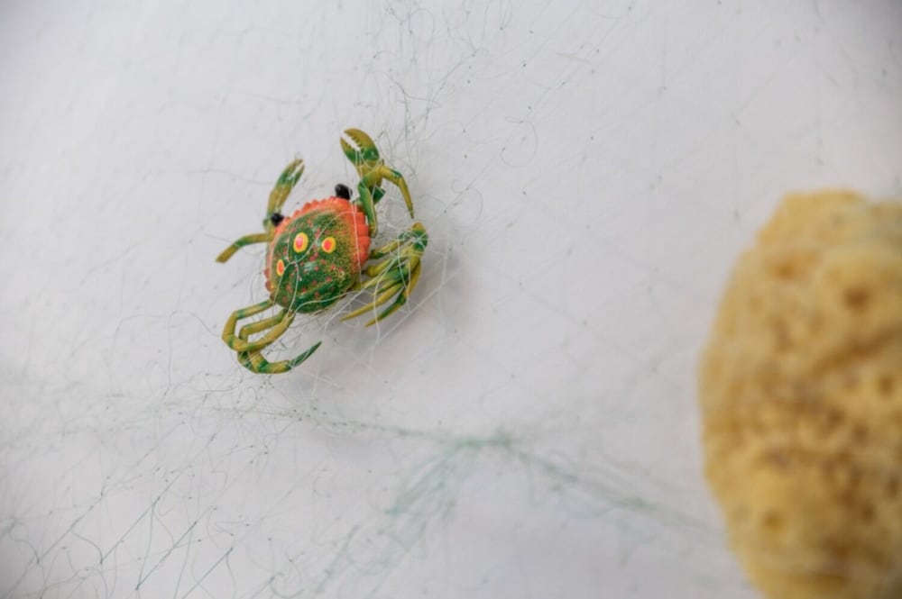 Фото Cathy - 50m From the Beach - A2