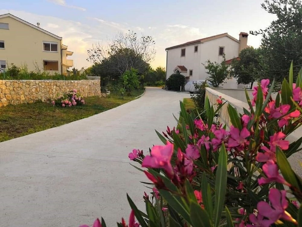 Фото Ljilja - 250 m From Blue Flag Beach - A1