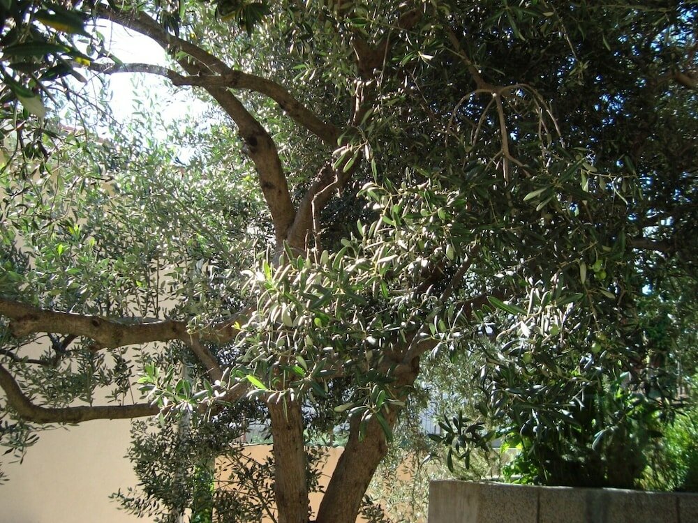 Фото Vedrana - 150 m From Beach - A1