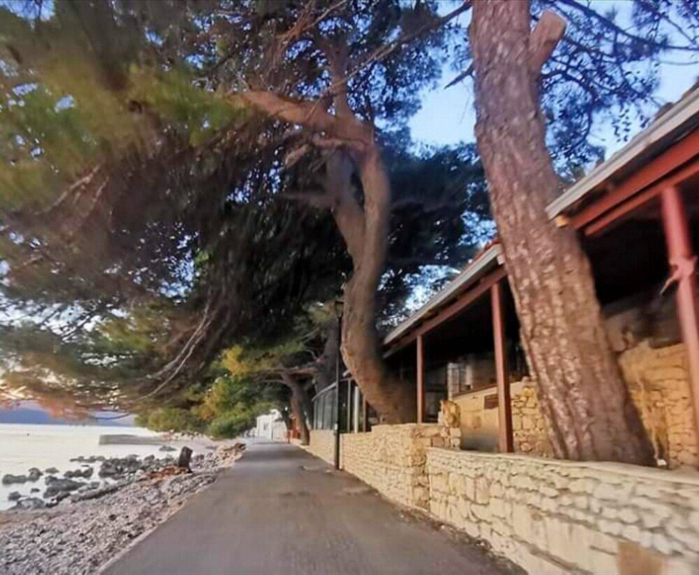 Фото Apartments Clementina Sunrise