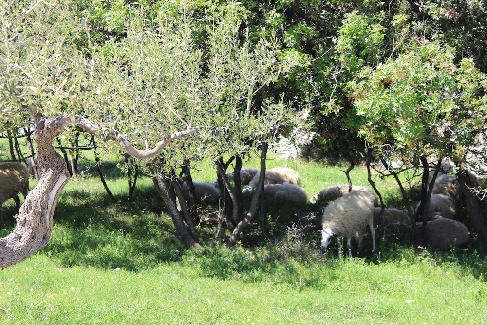 Фото Robinson House Dubrova