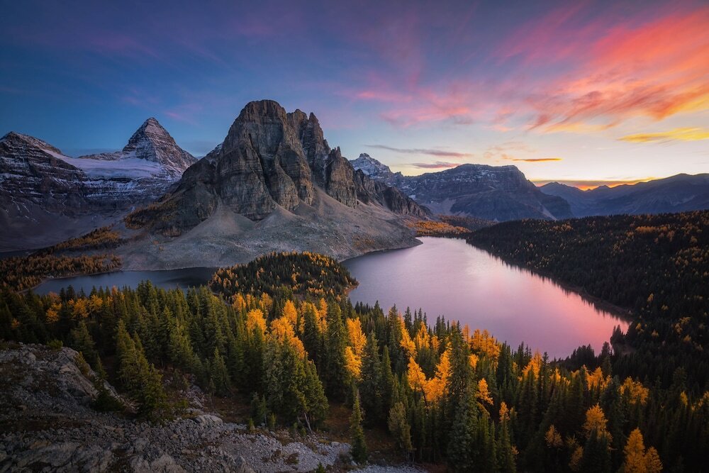 Фото One Studio with BBQ & a Huge Patio