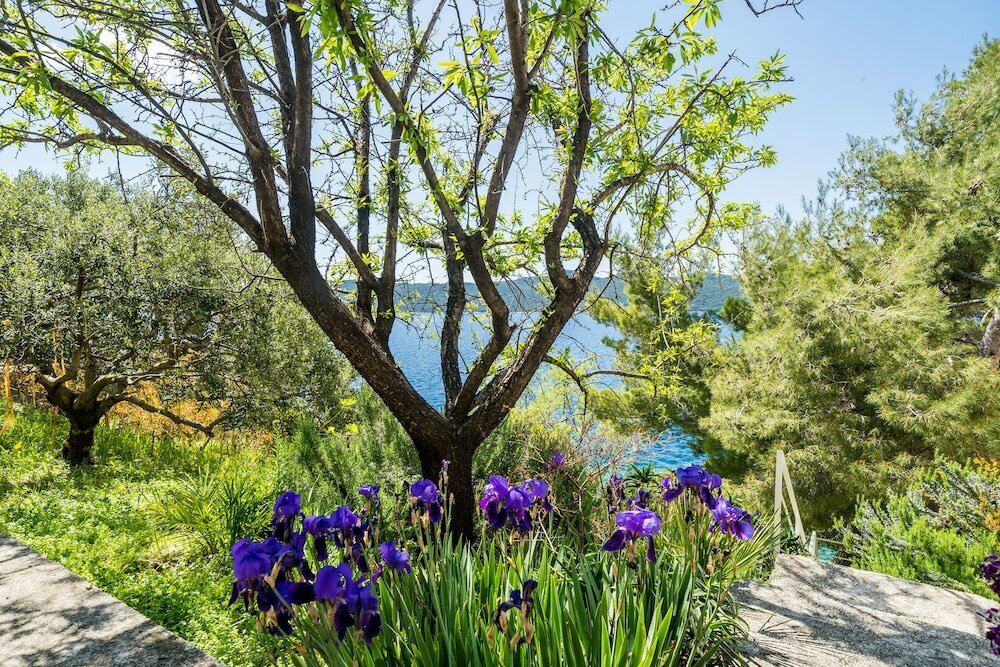 Фото Apartment Kia