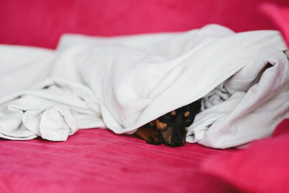 Фото Hotel El Patio